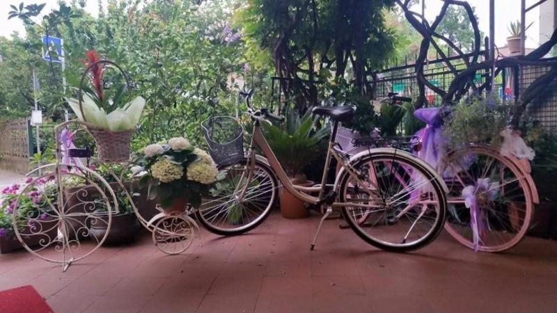 Hotel Stipino Lucca Ngoại thất bức ảnh
